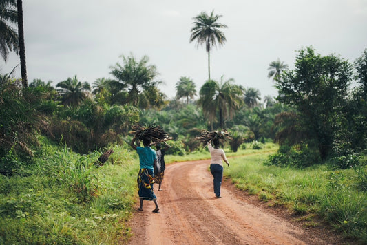 The Dark Side to The Chocolate Industry. Child Labour in the Chocolate Industry...